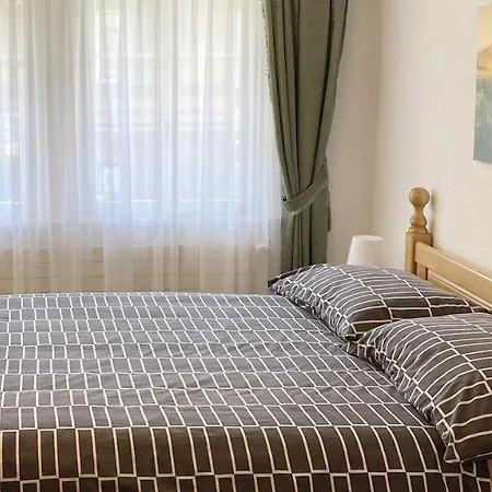 Falke Apartment Brienz (Bern)