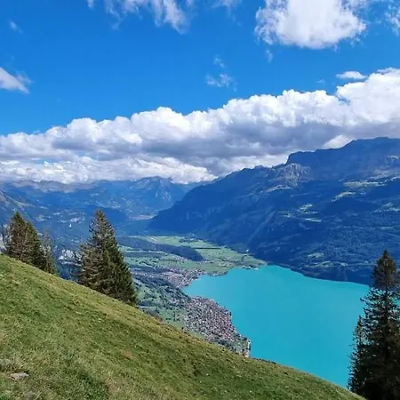 Falke Διαμέρισμα Brienz (Bern)