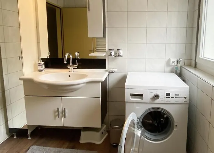 Falke * Brienz (Bern)