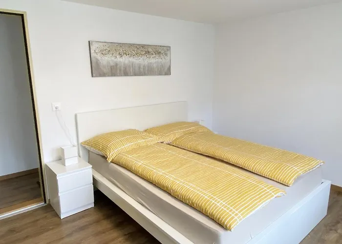 Falke * Brienz (Bern)