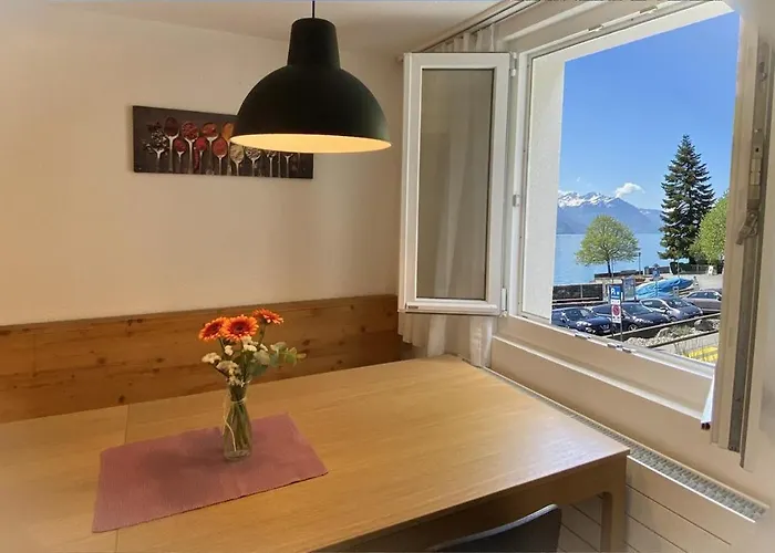 Falke * Brienz (Bern)