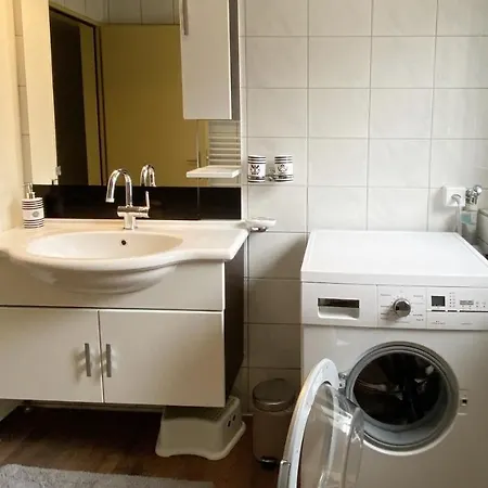 Falke * Brienz (Bern)